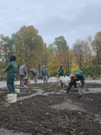 Новини Харкова: в саду Шевченка оновлюють клумби